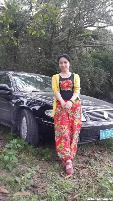 Shengqing Profile image 2