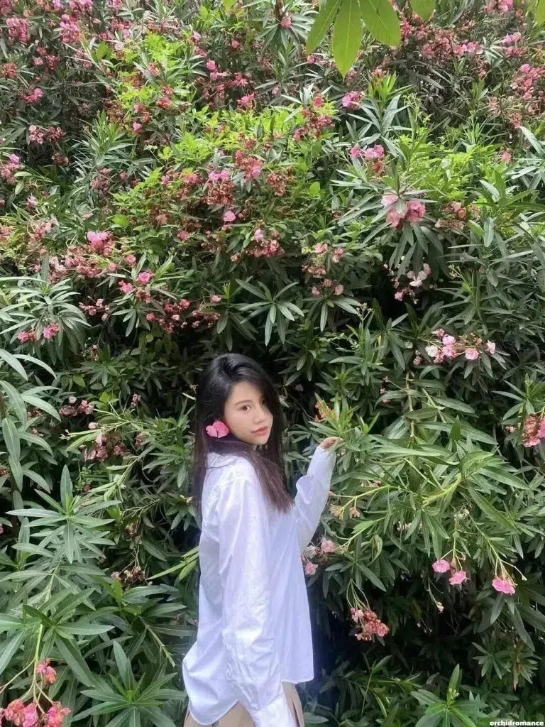 Ling Profile image 2